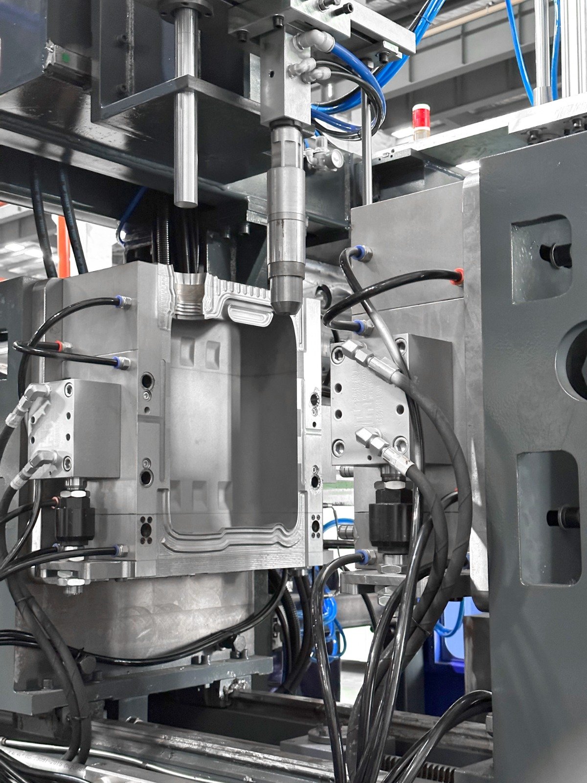 WhatsApp Image 2025-10-17 at 11.14.15_2e3c23b6